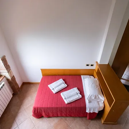 Oasi Di *